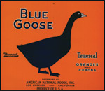 goose logo